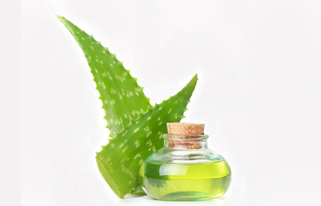 Aloe vera gel for moisturizing scalp